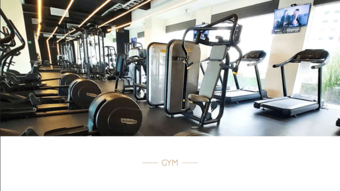 Cosmocrat-Interlomas-Areas comunes2