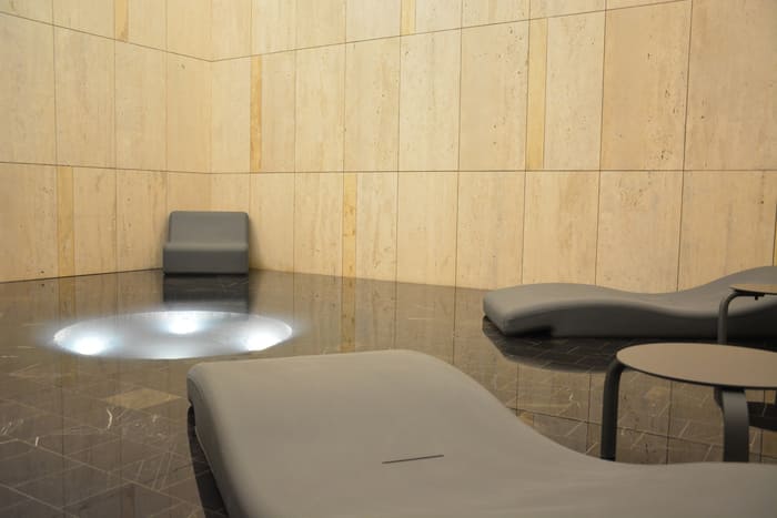 Dessea-Interlomas-Areas comunes-Alberca