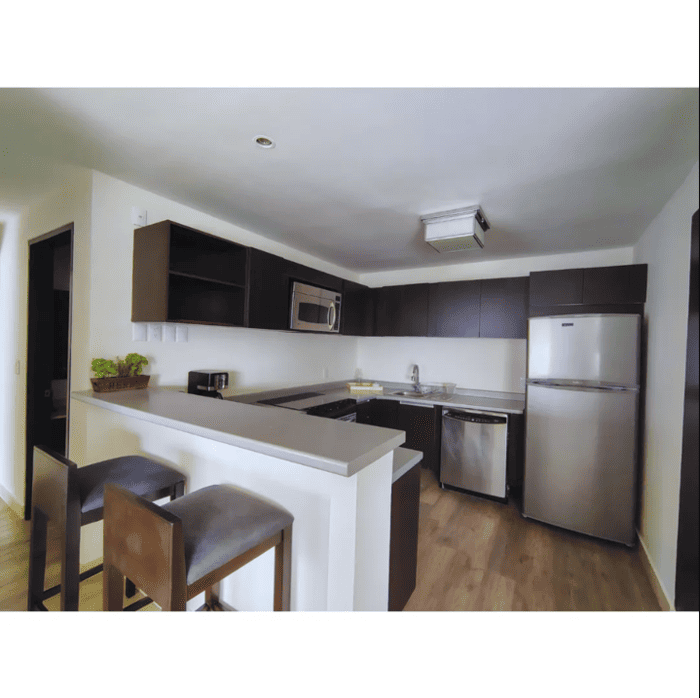 Hive Living Hub- Interlomas- Departamento-Cocina-Nuevo 9